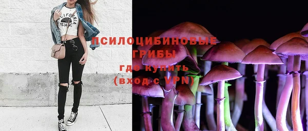 альфа пвп Заволжск
