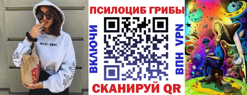ссылка на мегу вход  Кызыл  Псилоцибиновые грибы GOLDEN TEACHER 